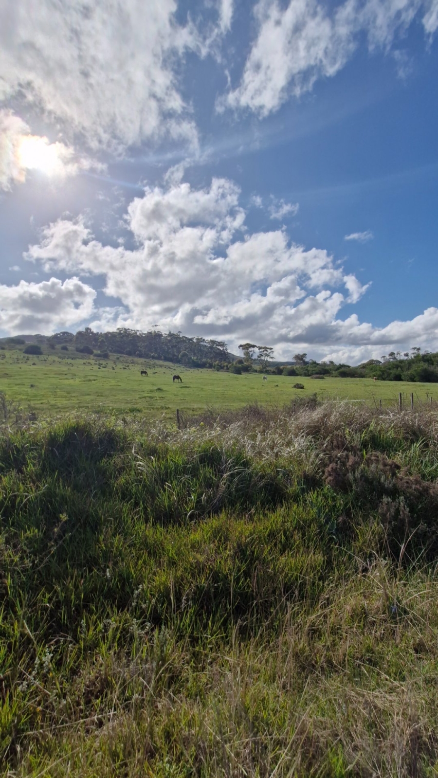 Commercial Property for Sale in Baardskeerdersbos Western Cape